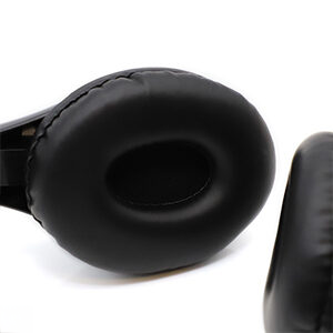 AE-39 Padded Earpads-1