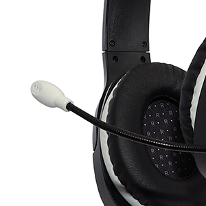 AE-75  Noise Canceling Mic