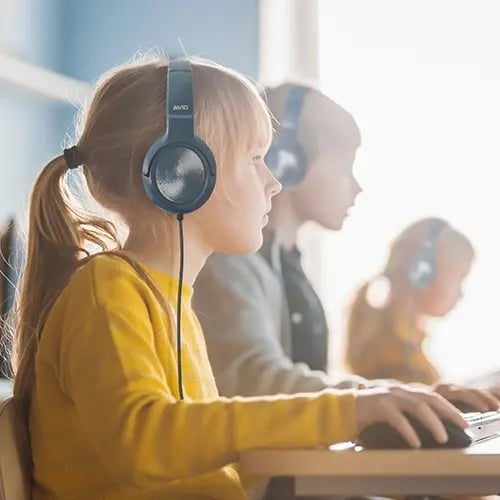 AVID AE55 FOR VIRTUAL LESSONS