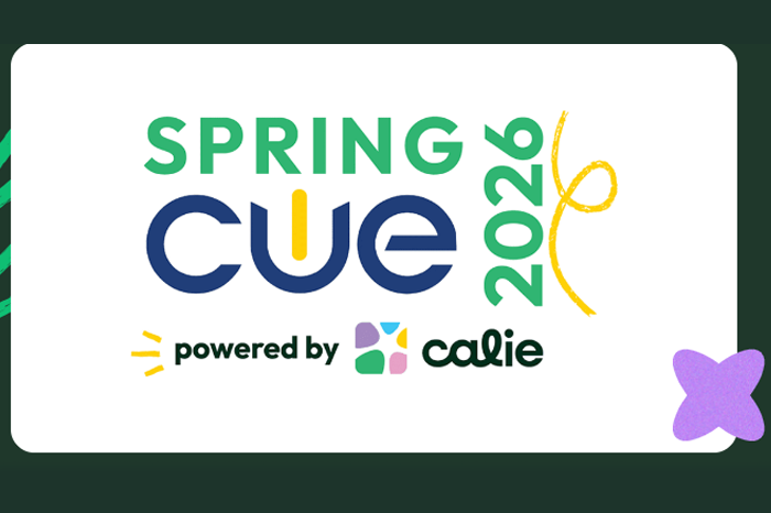 Spring Cue 26