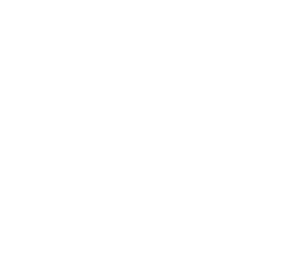 NASEF Trophy Tagline Logo WHITE@2x